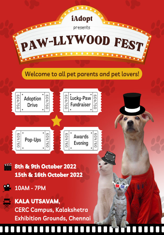 Live Chennai: Paw-llywood Fest - give furry friends a home!,Paw-llywood  Fest - give furry friends a home!