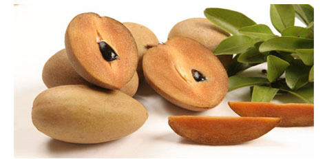 benifits of chikoo benifits of chikoo