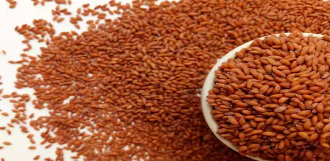 How To Properly Take Care Of 5 Alive Seeds?
