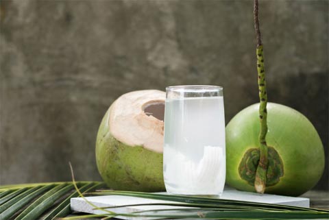 research on coconut water benefits