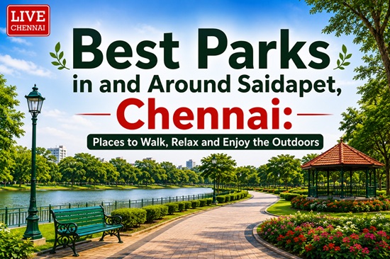 Best Parks in and Around Saidapet, Chennai: Places to Walk, Relax and Enjoy the Outdoors
