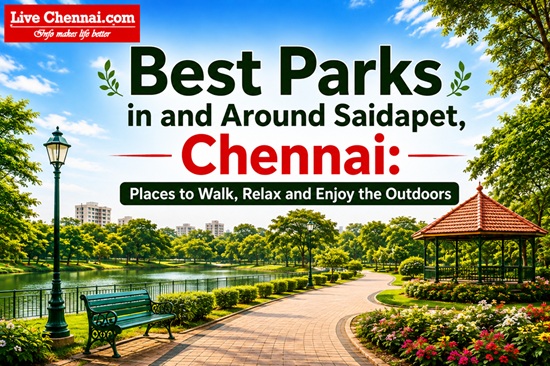 Best Parks in and Around Saidapet, Chennai: Places to Walk, Relax and Enjoy the Outdoors
