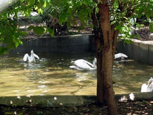 Guindy National Park