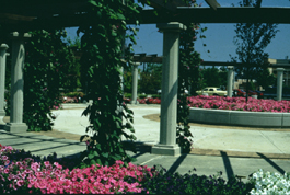 Horticultural Gardens