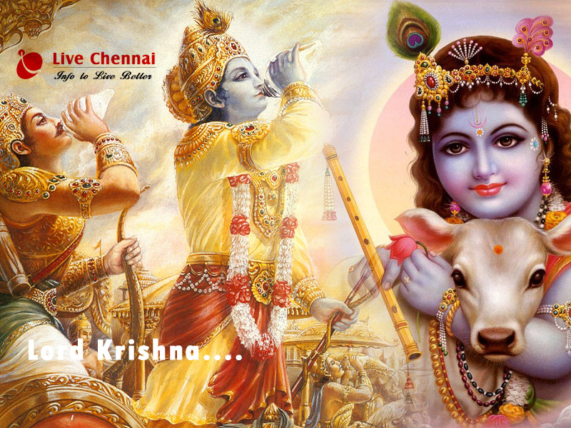 Live Chennai Sri Krishna Jayanthi Gallery, Sceneries