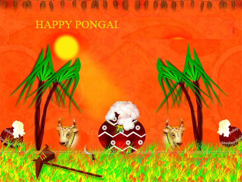 Pongal Festival Chart